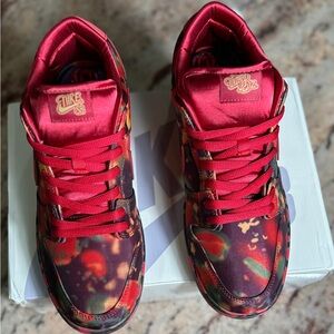 Men’s Nike SB Dunk Low Wizard of Oz “Poppy Fields” size 11